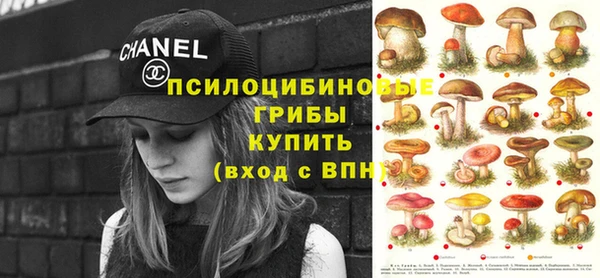 каннабис Аркадак