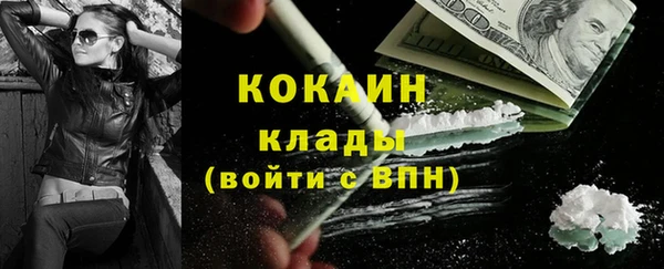 дмт Нягань